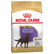 Royal Canin Sterilised Labrador Retriever Adult Crocchette per cane 12 kg