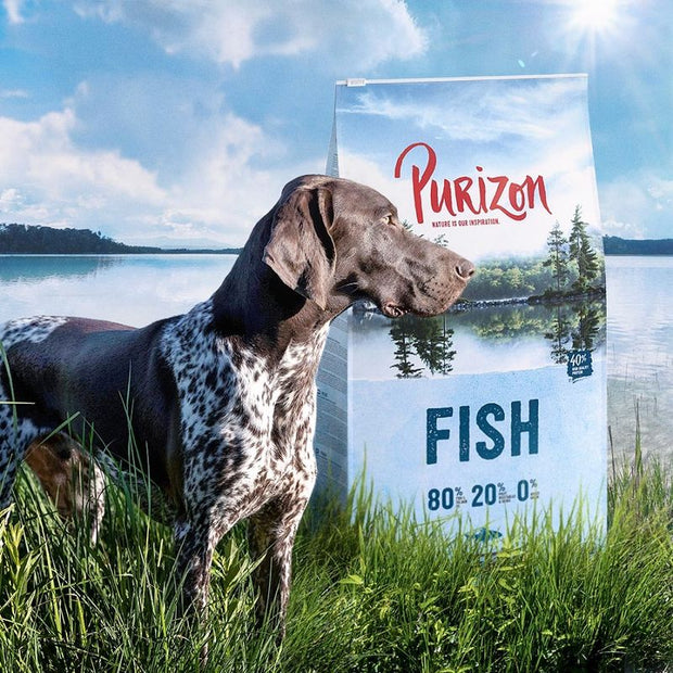 Purizon Adult Pesce Crocchette senza cereali per cani