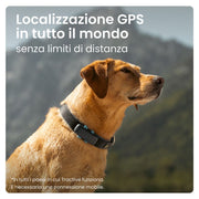 Localizzatore GPS e Tracker dell'attività Tractive (edizione 2023) bianco